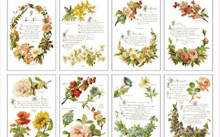 IOD - Lover of Flowers Transfer (8″X12″ Pad- 8 Sheets)