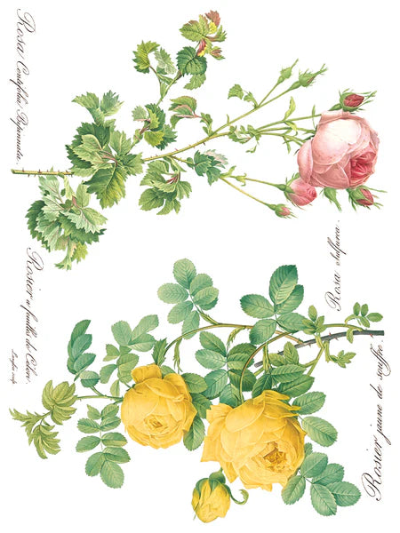 IOD - Rose Botanicals Transfer (8 pages 12″X16″)