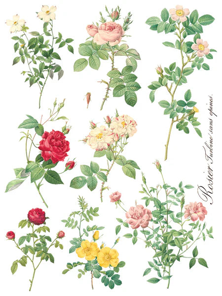 IOD - Rose Botanicals Transfer (8 pages 12″X16″)