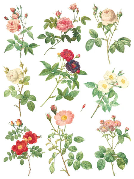 IOD - Rose Botanicals Transfer (8 pages 12″X16″)