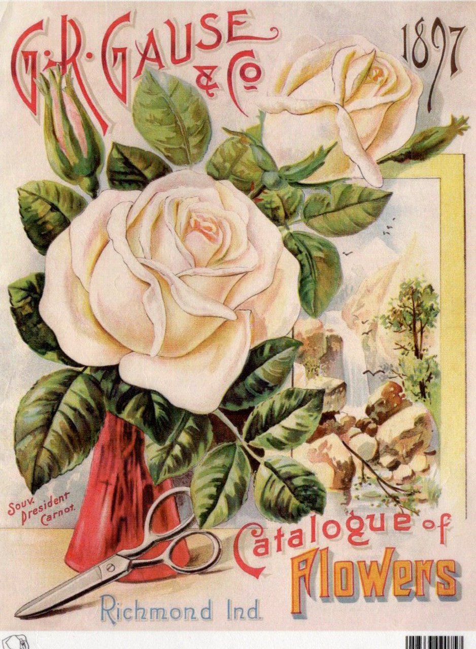 Calambour - GR Gause & Co 1897 White Rose Catalog (A4)