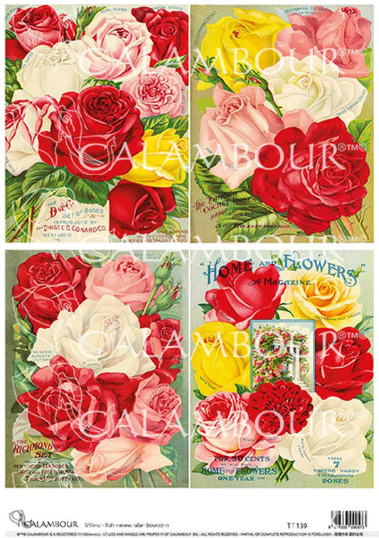 Calambour - Red Pink White and Yellow Roses (A4)