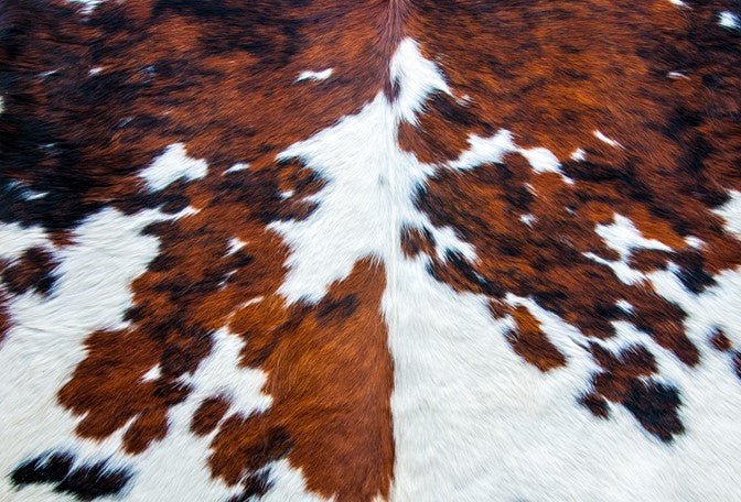 Roycycled - Cowhide - karen j createsRoycycled - CowhideDecoupage PaperRoycycled88_cowhide88268060